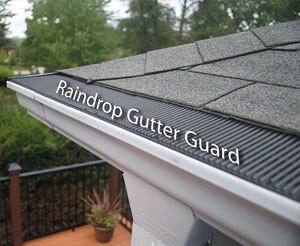 Raindrop Gutter Guards